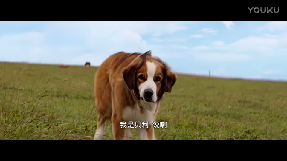 豫光集团建企六十周年系列报道(二) 愚公移山豫光魂“星空·综合(中国)体育”(图2) 星空·综合(中国)体育