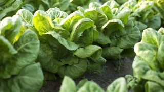 xingkong综合体育