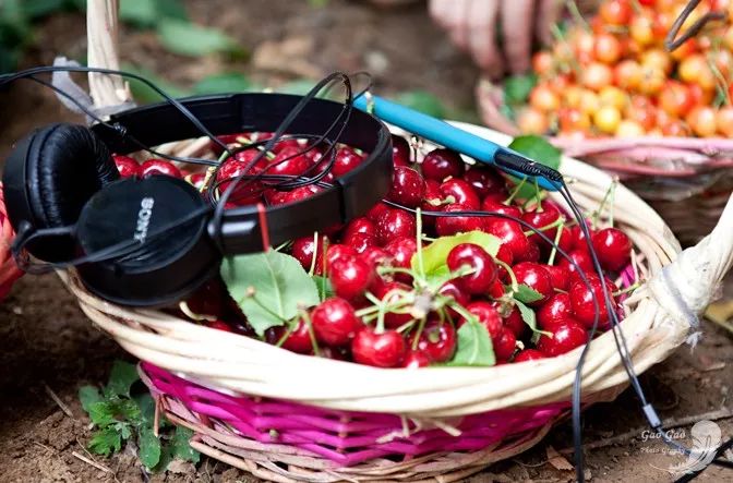 星空·综合体育