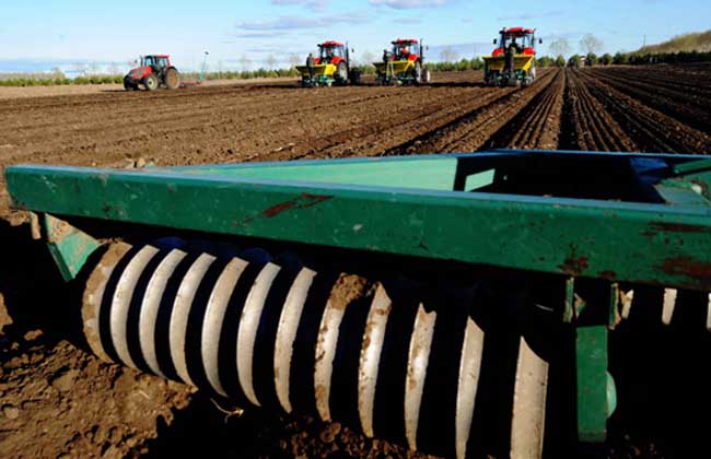 xingkong综合体育