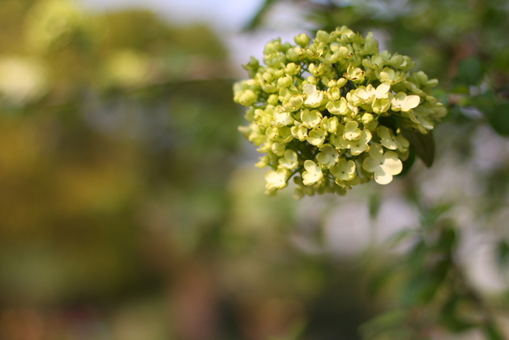 星空·综合体育