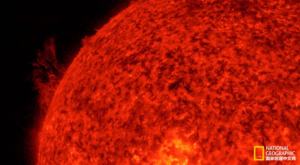 星空综合官方网站