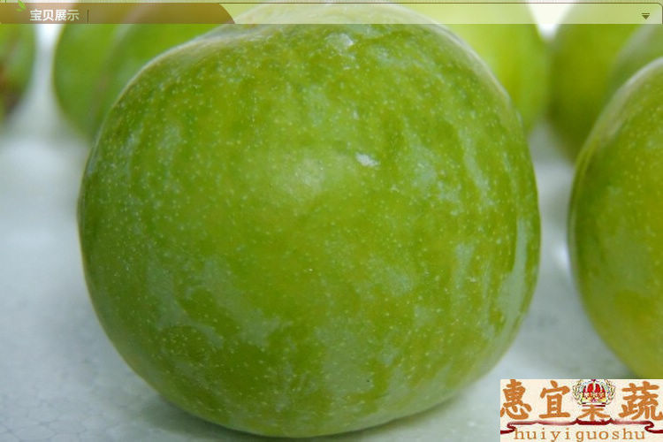 星空综合官方网站