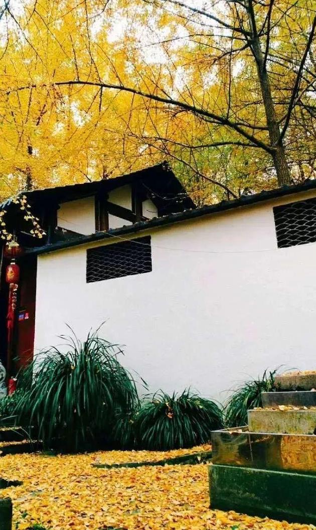 xingkong综合体育