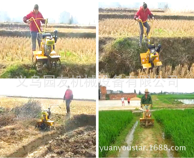 星空·综合体育