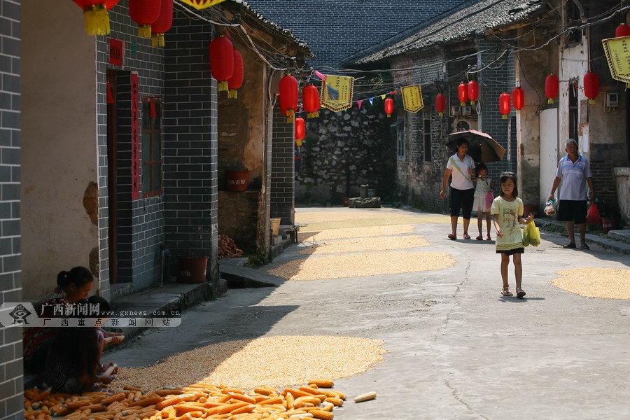 星空综合官方网站