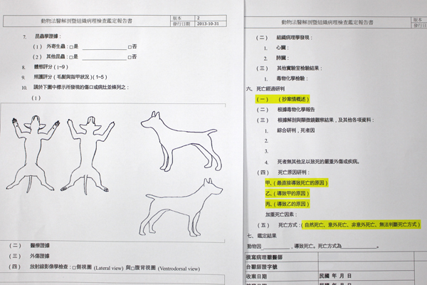 xingkong综合体育