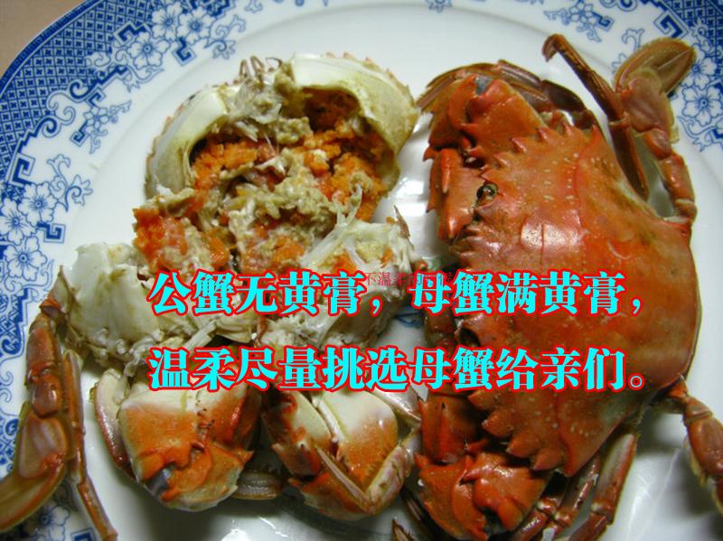 星空综合官方网站